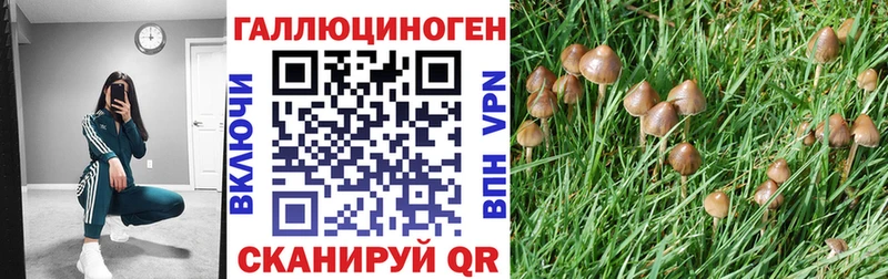 Псилоцибиновые грибы мицелий ссылка на мегу ссылка Партизанск магазин продажи